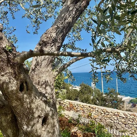 Stone - Sea & Landscape Marittima